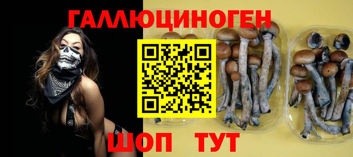 где продают наркотики  Псилоцибиновые грибы мухоморы  Вход с VPN  Назарово 